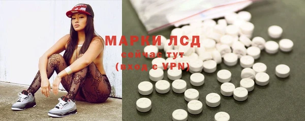 стаф Беломорск