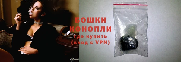 стаф Беломорск