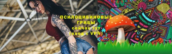 прущая мука Белоозёрский
