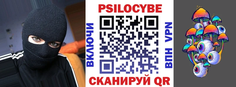 закладка  Слюдянка  Псилоцибиновые грибы прущие грибы 
